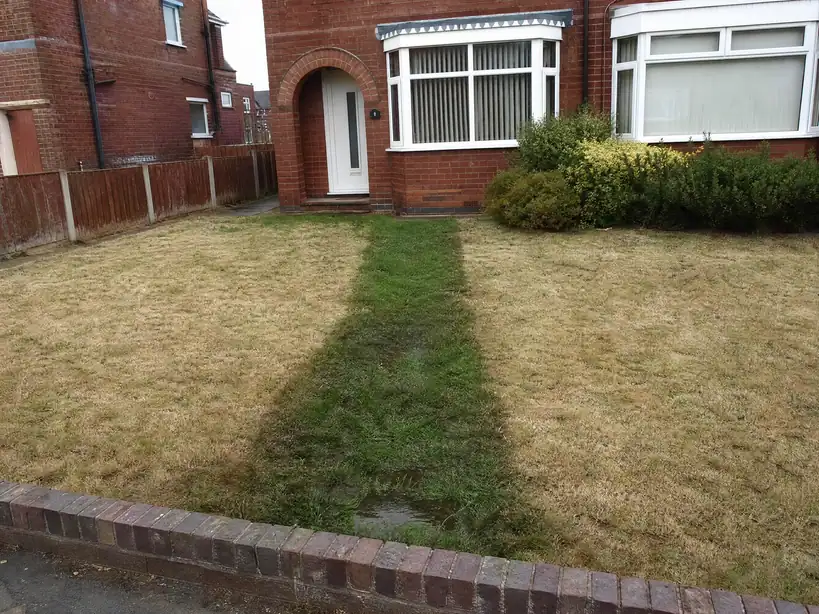 Damp strip of lawn near the boundary, a sign of a supply pipe leak, Nottingham